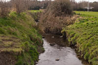 DSC 7748