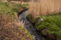 DSC 7749