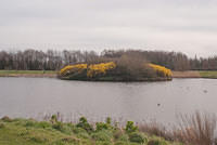 DSC 7783