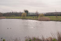 DSC 7785
