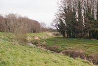 DSC 7793