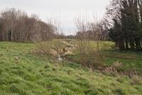 DSC 7794