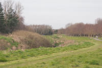 DSC 7818