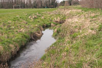 DSC 7830