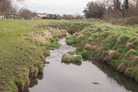 DSC 7831