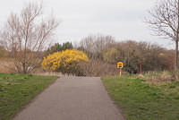 DSC 7836