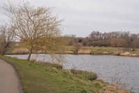 DSC 7842