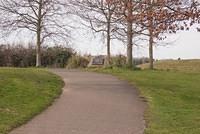 DSC 7850