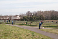DSC 7946