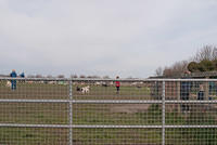 DSC 7947