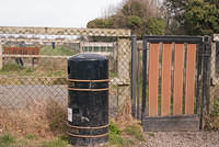 DSC 7950