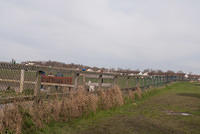 DSC 7951