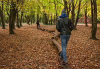 Untitled Panorama1
