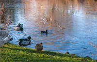 Untitled Panorama13