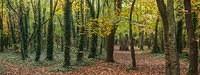 Untitled Panorama2