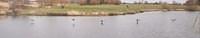Untitled Panorama5