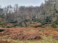 IMG-20211209-WA0004