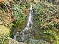 IMG-20211209-WA0005