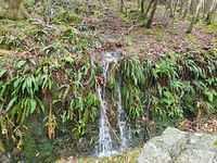 IMG-20211209-WA0006