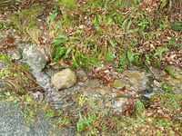 IMG-20211209-WA0007