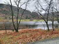 IMG-20211209-WA0008