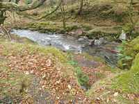 IMG-20211209-WA0017
