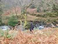 IMG-20211209-WA0018