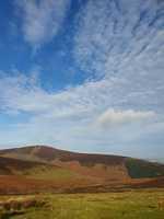IMG-20240201-WA0002