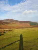 IMG-20240201-WA0004