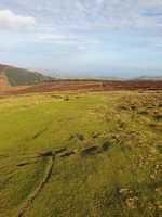 IMG-20240201-WA0005